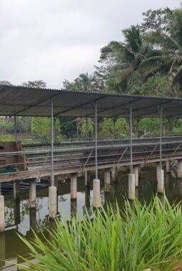 Pengelolaan Dana BUMDes Dempel Rp257 Juta, Program Ketahanan Pangan Diduga Tidak Sehat